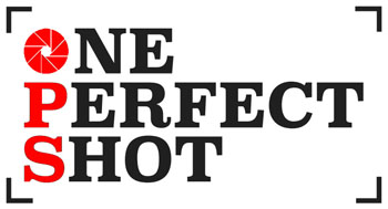 One. Perfect. Shot.